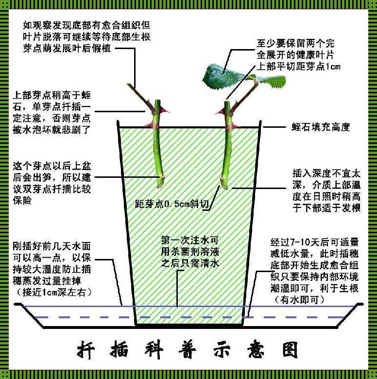 "阴包阳72变，科技界的戏法儿"