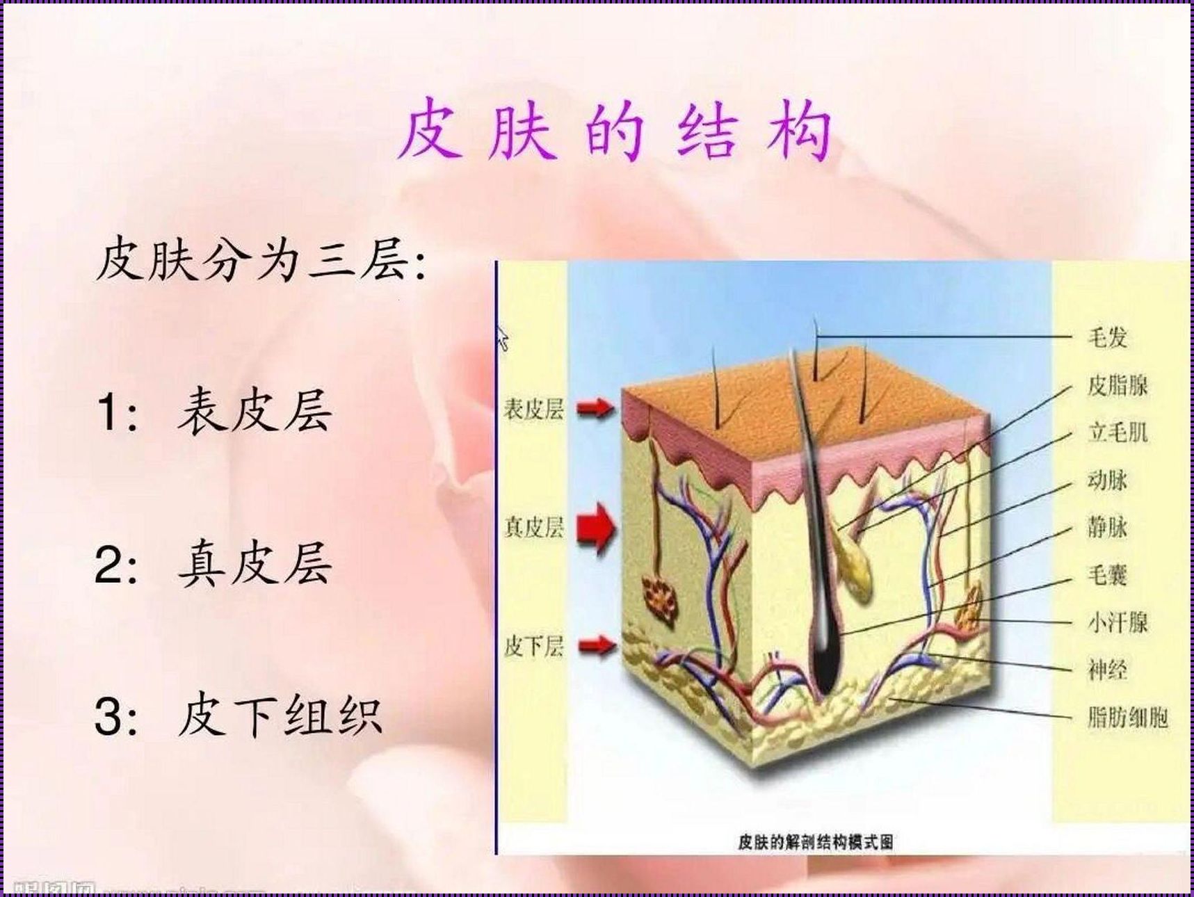 “三大层”辣评：笑谈江湖，疯话连篇