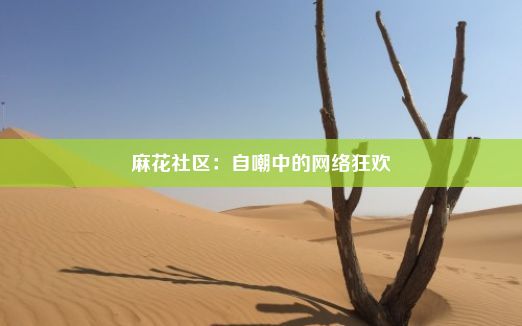 麻花社区：自嘲中的网络狂欢