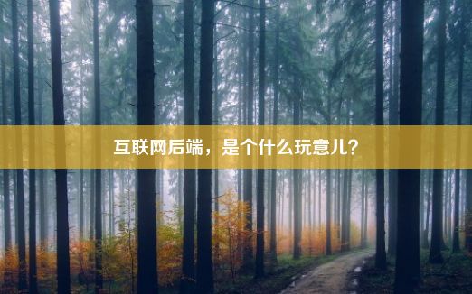 互联网后端，是个什么玩意儿？