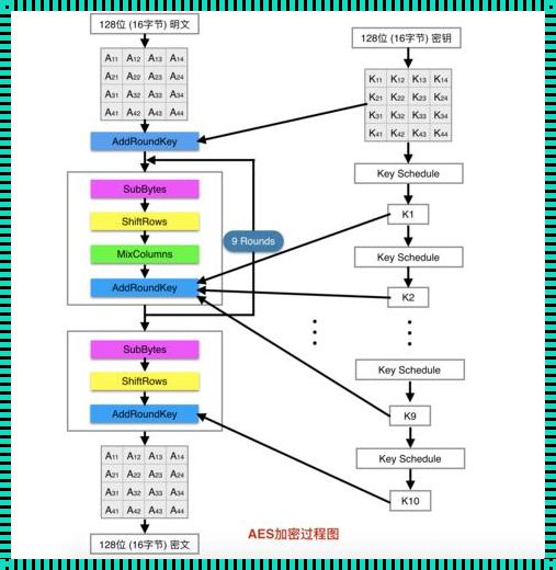 哎呀，AES加密特征，听说你是个“神秘高手”？