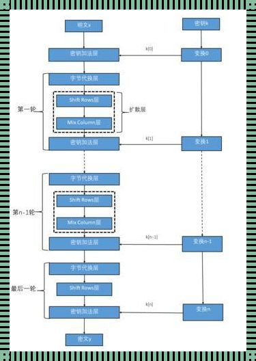 哎呀，AES加密特征，听说你是个“神秘高手”？