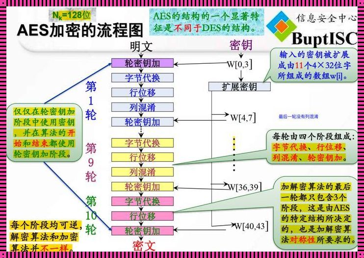 哎呀，AES加密特征，听说你是个“神秘高手”？