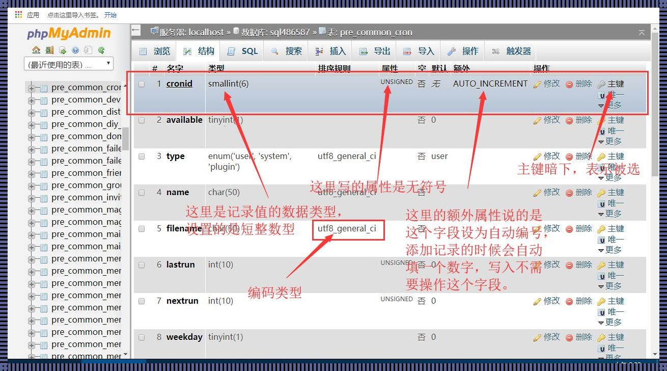 “玩转”MySQL，给你的表加上“新衣”