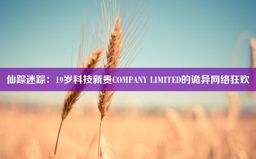 仙踪迷踪：19岁科技新贵COMPANY LIMITED的诡异网络狂欢