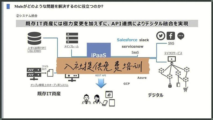 "码农界的小秘密：日本Java与中国Java，谁在引领潮流？"