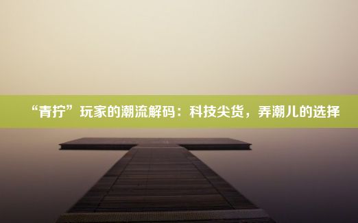 “青拧”玩家的潮流解码：科技尖货，弄潮儿的选择