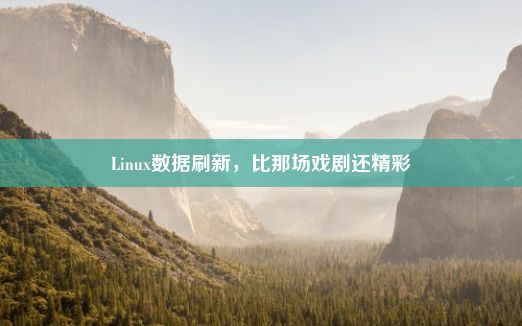 Linux数据刷新，比那场戏剧还精彩