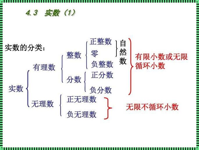 实数界的群魔乱舞：笑看那些数的疯狂