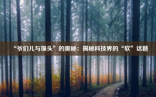 “爷们儿与馒头”的奥秘：揭秘科技界的“软”话题