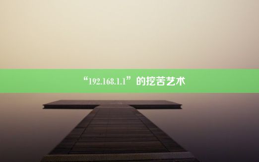 “192.168.1.1”的挖苦艺术