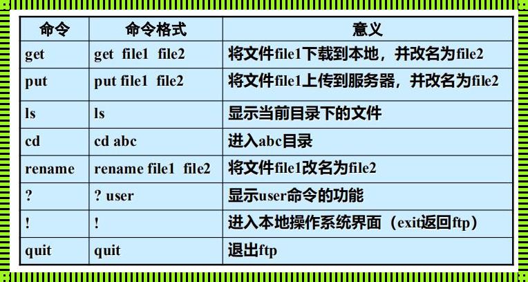 《FTP命令：一键掌控，你“切”得到吗？》