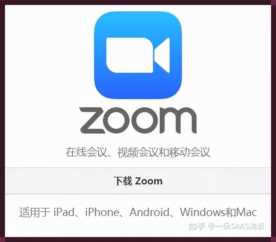 “ZOOM云会议VIEW”的诡辩：云端上的异类狂欢