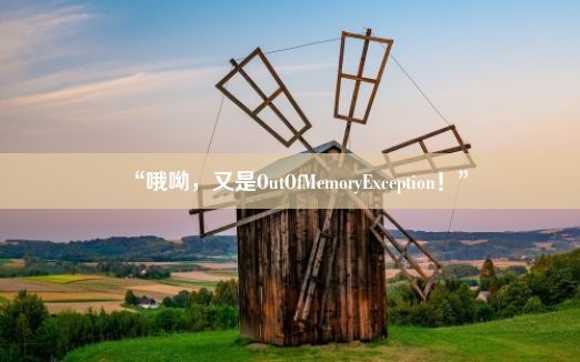 “哦呦，又是OutOfMemoryException！”