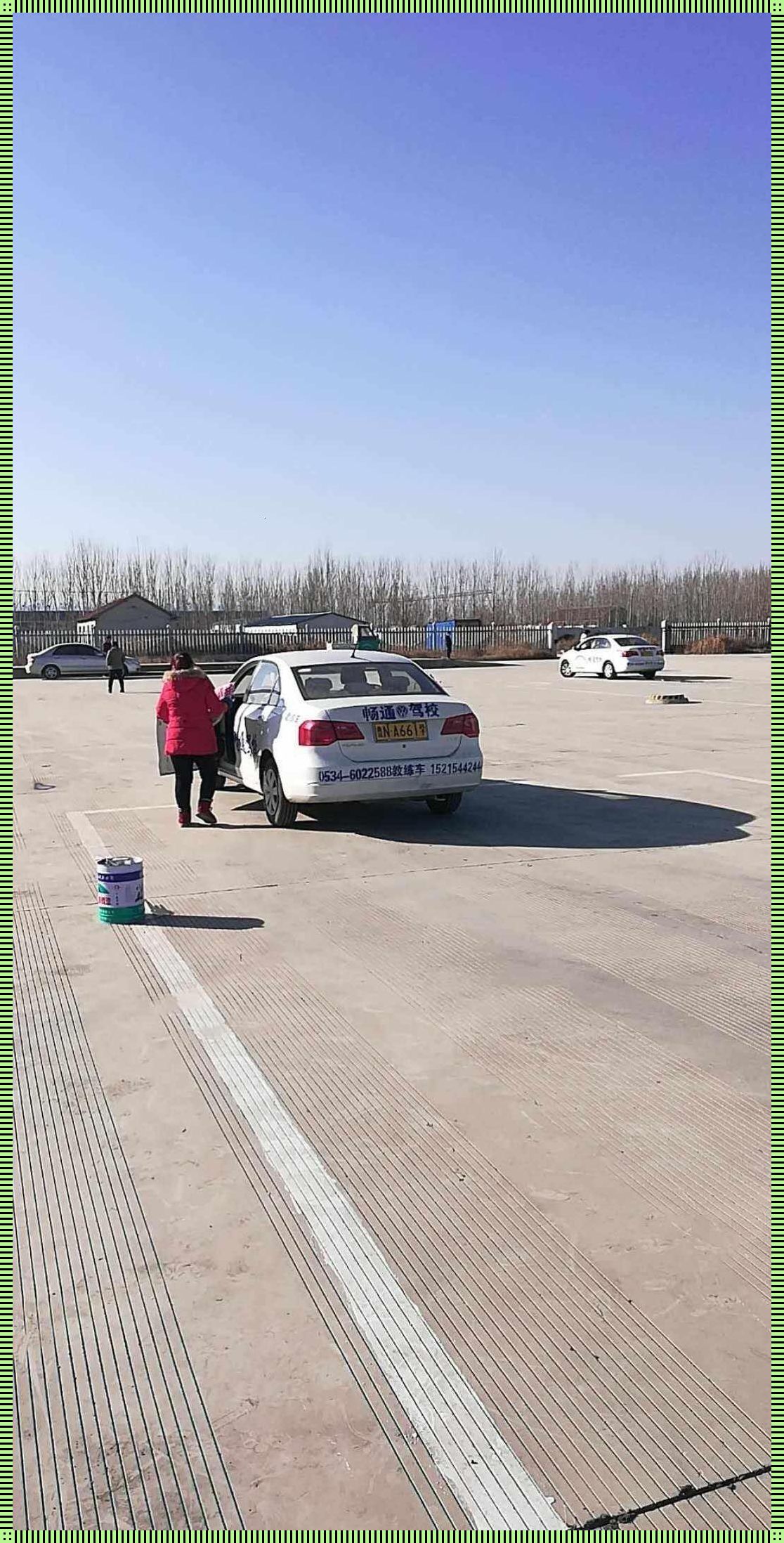 老周孙琳驾校练车，创新风潮席卷互联网