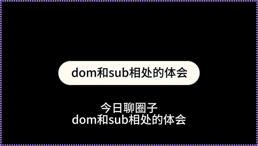 《Dom和Sub的戏码：一场不按套路出牌的日常相处》