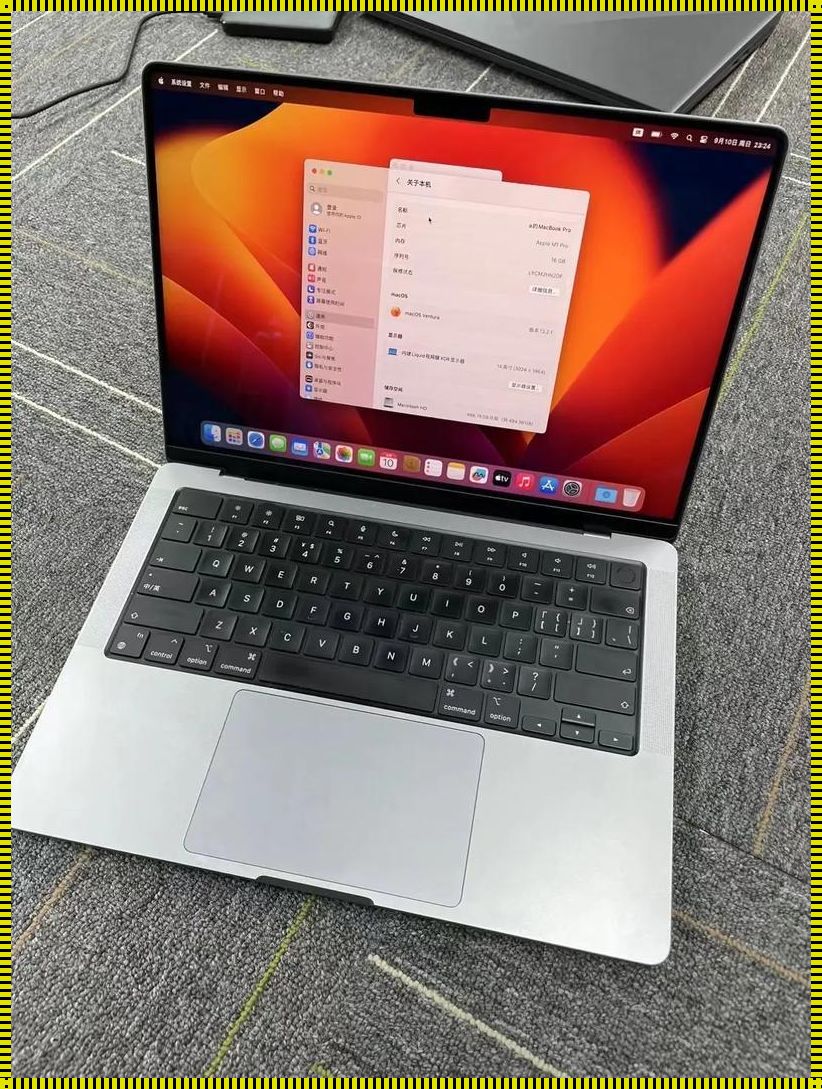 MacBookPro免费网站：崛起的新星