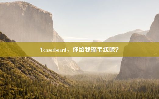 Tensorboard，你给我搞毛线呢？