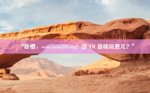 “卧槽，www.vuem339.org！这 TM 是啥玩意儿？”