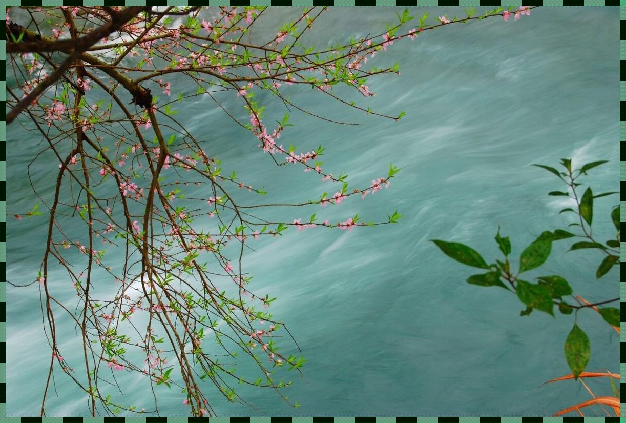 突破极限，科技花园里的桃花流水