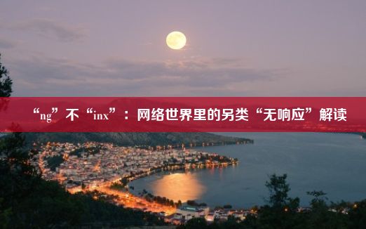 “ng”不“inx”：网络世界里的另类“无响应”解读