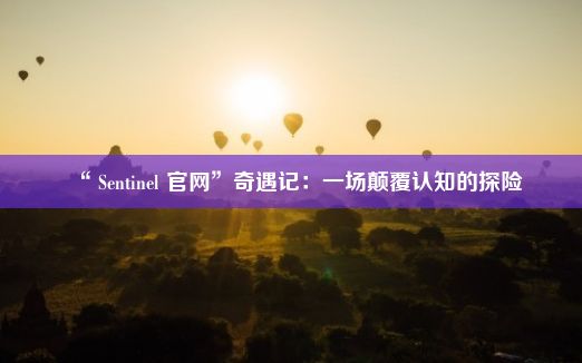 “ Sentinel 官网”奇遇记：一场颠覆认知的探险