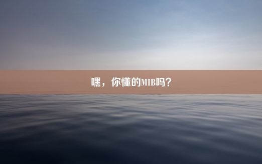 嘿，你懂的MIB吗？