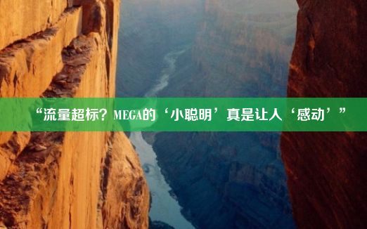 “流量超标？MEGA的‘小聪明’真是让人‘感动’”