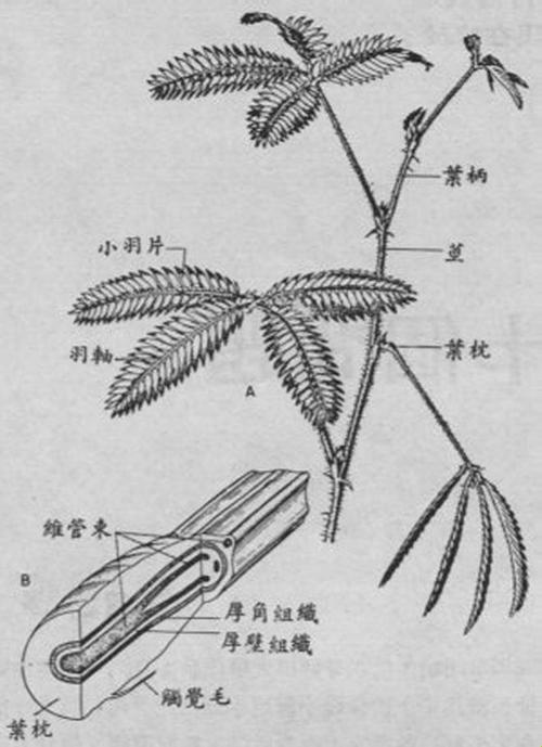 “羞答答”实验所的秘密通道：诡异路线曝光，科技界炸锅！