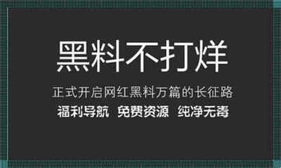 “热门瓜田里的科技狂想曲：笑谈黑料不夜城”