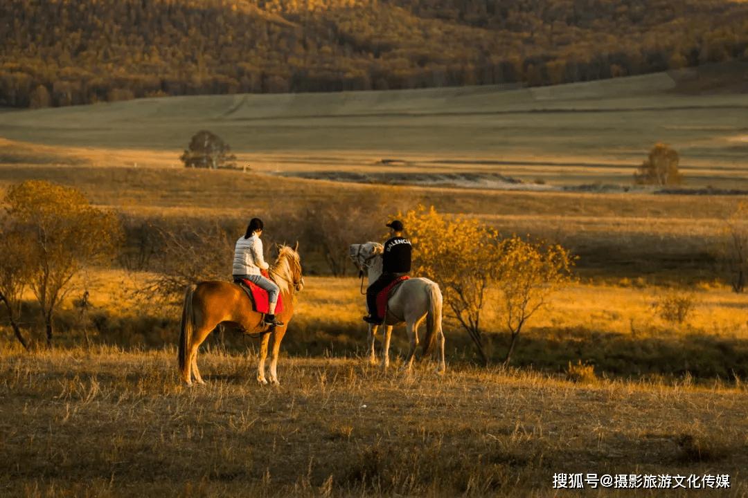 “天草”逸事：笑谈“最受欢迎”的科技萌宠