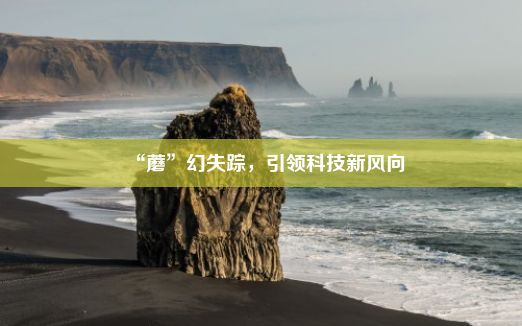 “蘑”幻失踪，引领科技新风向