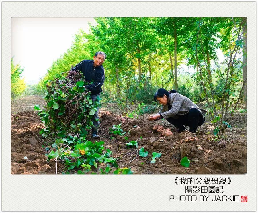 "耕二代"玩转科技田，笑谈母地儿的"新农业革命"