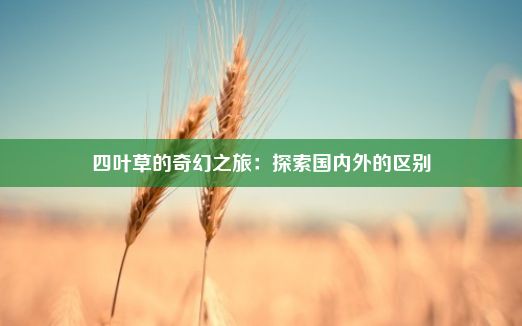 四叶草的奇幻之旅：探索国内外的区别