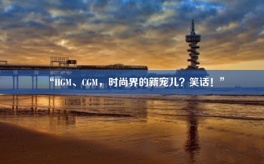 “HGM、CGM，时尚界的新宠儿？笑话！”