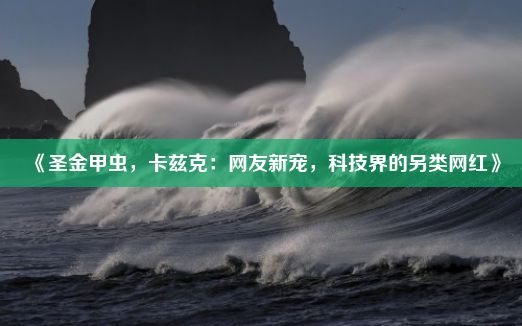 《圣金甲虫，卡兹克：网友新宠，科技界的另类网红》