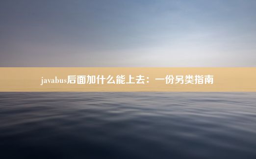 javabus后面加什么能上去：一份另类指南