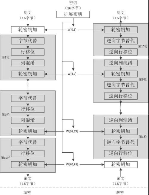 揭秘AES加密：变幻莫测的数字迷宫