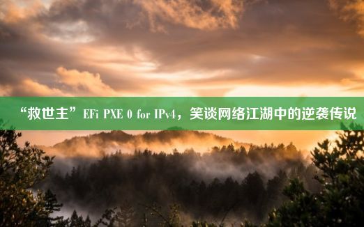 “救世主”EFi PXE 0 for IPv4，笑谈网络江湖中的逆袭传说