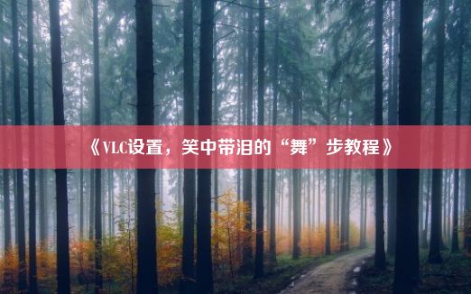 《VLC设置，笑中带泪的“舞”步教程》