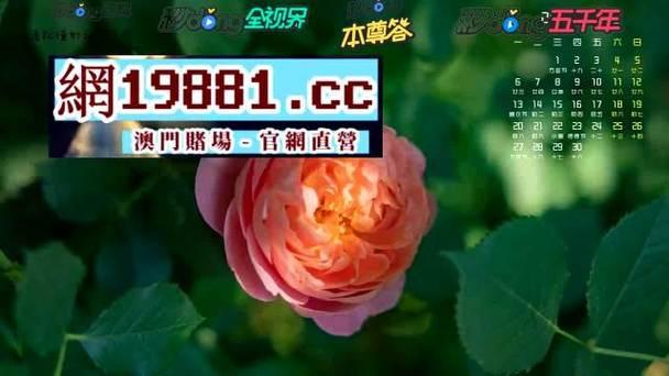 8188www威尼斯：引领时代的狂潮！