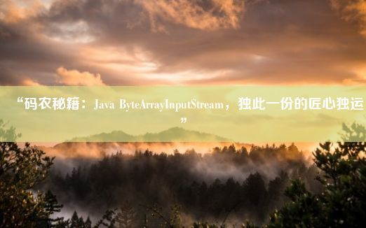 “码农秘籍：Java ByteArrayInputStream，独此一份的匠心独运”