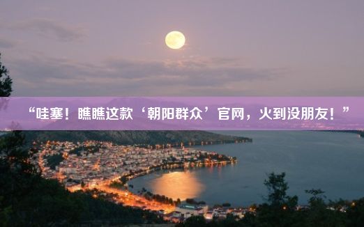 “哇塞！瞧瞧这款‘朝阳群众’官网，火到没朋友！”