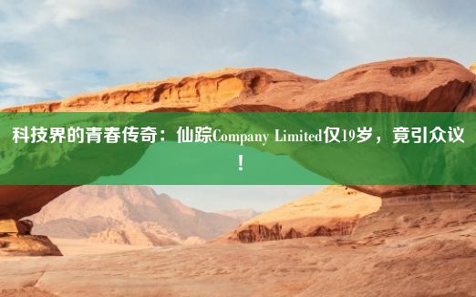 科技界的青春传奇：仙踪Company Limited仅19岁，竟引众议！