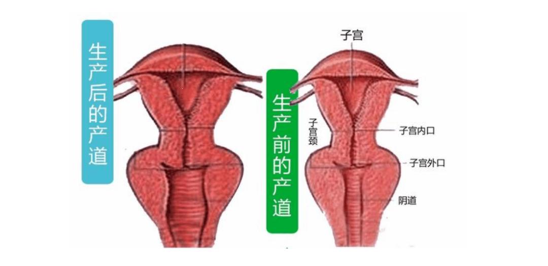 “松弛之谜”：科技界的创新突破，引发的另类热议