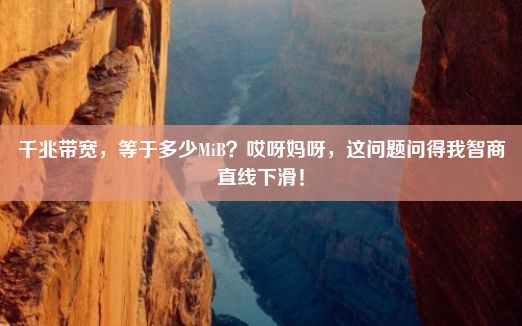 千兆带宽，等于多少MiB？哎呀妈呀，这问题问得我智商直线下滑！