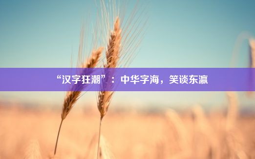 “汉字狂潮”：中华字海，笑谈东瀛