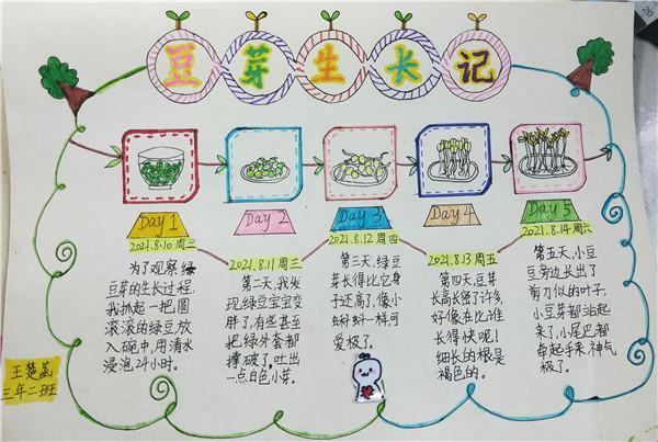 科技圈“翻车”现场：成长的秘密第三季观后感