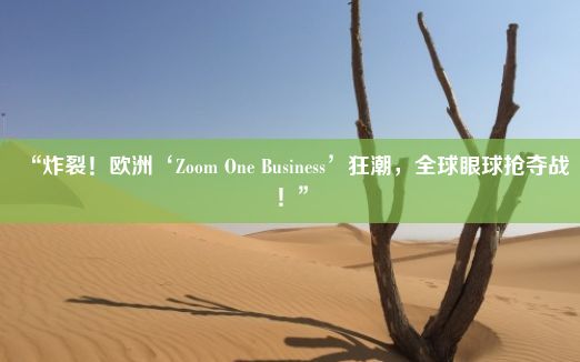 “炸裂！欧洲‘Zoom One Business’狂潮，全球眼球抢夺战！”