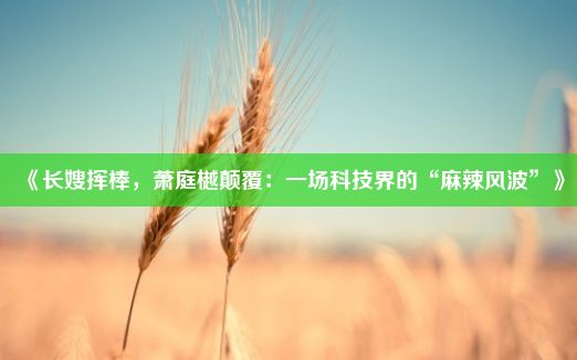 《长嫂挥棒，萧庭樾颠覆：一场科技界的“麻辣风波”》